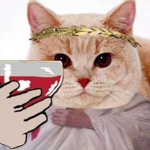 Meet your Posher, Davis